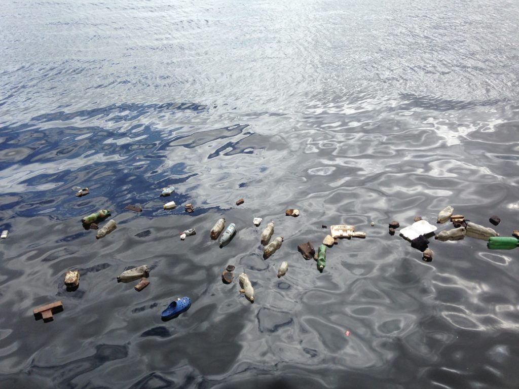 Obrázek: Korýši rozkládají mikroplasty, světovým oceánům však nepomohou