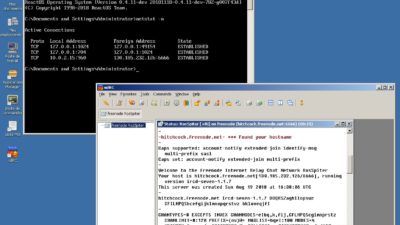 Obrázek: Jak spustit Windows aplikace bez Windows? ReactOS je kopií operačního systému zcela zdarma