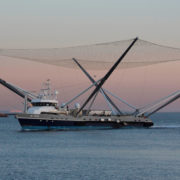 Obrázek: SpaceX ruší lodě Ms. Chief a Ms. Tree: Části raket nechá padat přímo do moře