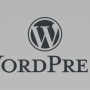 Obrázek: Webové stránky v České republice pohání hlavně WordPress, má tu silnou komunitu