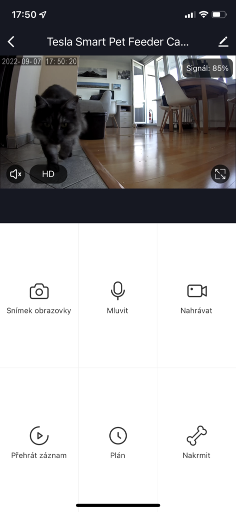 Obrázek: Vidí, slyší a nakrmí i na dálku: Jaké je chytré krmítko pro mazlíčky od české značky Tesla?