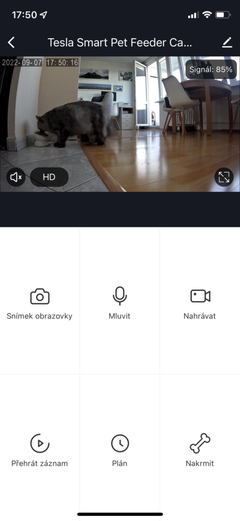 Obrázek: Vidí, slyší a nakrmí i na dálku: Jaké je chytré krmítko pro mazlíčky od české značky Tesla?