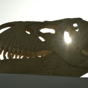 Obrázek: Kabelka z tyrannosauří kůže: Paleontologové vyvracejí nejnovější trend