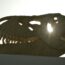 Obrázek: Kabelka z tyrannosauří kůže: Paleontologové vyvracejí nejnovější trend